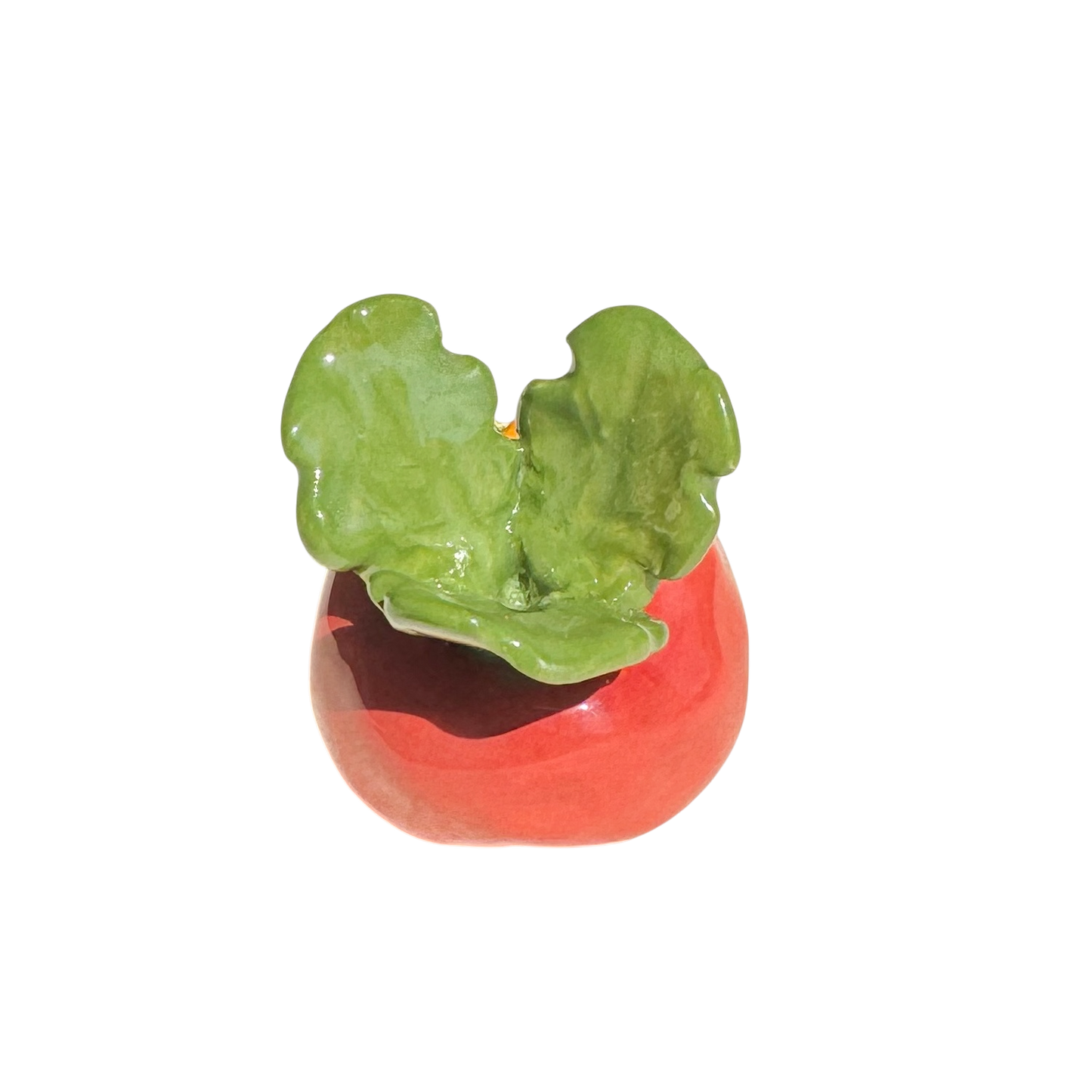 Radish with rainbow roll