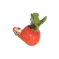 Radish with rice bowl