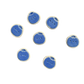 Magnet- Mini Blueberry